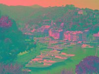 IMGP2627 edited (Medium)